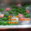 蔬菜清洗線|凈菜加工設(shè)備|哪家好？|諸城市食品機械