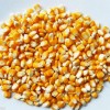 現(xiàn)款采購(gòu)玉米、小麥、高粱、大米等釀酒原料