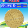 供應(yīng)豌豆蛋白粉，飼料添加劑，飼料原料，畜牧養(yǎng)殖飼料