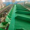 橢圓式蟠桃分級(jí)機(jī)  自動(dòng)分選 節(jié)省人工哪里有賣的