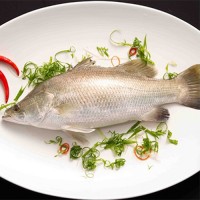 熱銷海鱸魚(yú)金鯧魚(yú)美國(guó)紅魚(yú)金目鱸魚(yú)等