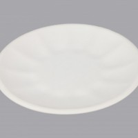 環(huán)保可降解濕壓甘蔗渣模壓纖維食品紙盤